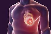 پژوهش های سلول های بنیادی انسانی منجر به شناسایی مسیرهای ژنتیکی جدید برای کنترل ضربان قلب شده است