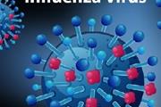 توانایی سلول‌های ایمنی درپیش بینی علائم آنفولانزا 