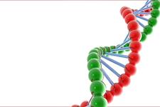 ژن های کلیدی علیه مرگ سلولی کشف شد