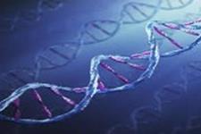 کارگاه آموزشي تئوري و عملي «نشانگرهاي مولکولي مبتني بر DNA»