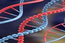 پژوهشگران دانشگاه تربیت مدرس روش جديدي براي تعيين توالي رشته‌هاي DNA ارائه كردند