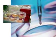 پاکسازی سلول های بنیادی برای درمان ایمن ترسلول های  IPS