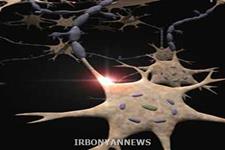 تولید نورون های حرکتی از سلول های پوست