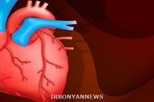  ترکیب ژن درمانی و سلول های بنیادی در خدمت نارسایی قلبی