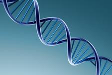 کشف مکانیسم شروع پاسخ های ایمنی در برابر DNA 