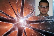پیوند موفق نورون‌های آزمایشگاهی به مغز موش با همکاری محقق ایرانی