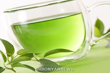 عصاره چای سبز در تشکیل پلاک های آمیلوئیدی بیماری آلزایمر تداخل ایجاد می کند 