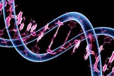 کشف عامل ژنتیکی برای مبارزه با تب سیاه