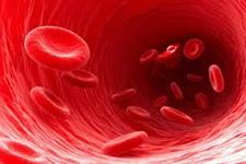 اهدای پلاکت خون نقش حیاتی در نجات جان بیماران سرطانی دارند
