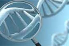 کشف ساختار DNA دستاورد کدام دانشمند بود؟