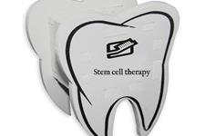 رشد دندان با سلول های بنیادی