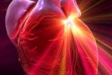 هورمونی جدید برای تکوین قلب