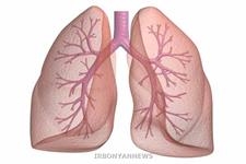 آنتی اکسیدان ها، رشد سلول های سرطانی ریه را تسریع می کنند