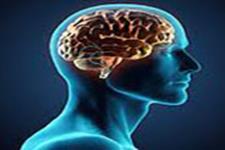 زمان طلایی نجات بیماران سکته مغزی