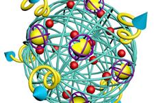  nano-cocoon، ساختار جدیدی برای انتقال دارو
