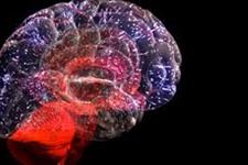 ترمیم قشر مغزی: امری انجام شدنی