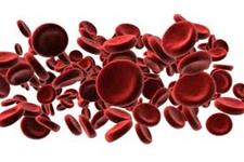 محققین مسیر سیگنالینگ حیاتی را کشف کرده اند که به تولید سلول های بنیادی خون ساز کمک می کند