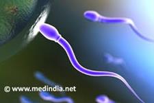 ویرایش ژنومی سلول های بنیادی اسپرماتوگونی می تواند جهش های ژنتیکی را برای نسل های آینده اصلاح کند