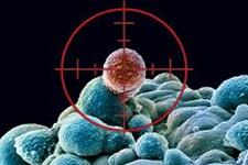 سلول های ایمنی در خدمت سلول های بنیادی سرطان