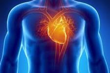 وارد شدن به شیار چیپ های سیلیکونی به سلول های بنیادی قلبی کمک می کند که به کاردیومیوسیت ها تبدیل شوند