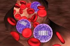ابزار بارکدگذاری برای سلول های بنیادی که منشا سلول های خونی هستند