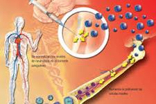 سلول های بنیادی پرتوان به درمان بیماری های وراثتی کمک می کنند