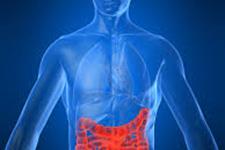 سلول های بنیادی امیدواری هایی را برای درمان بیماری Crohn’s نشان می دهد