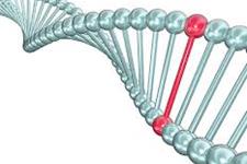 ژن درمانی روشی نوین برای درمان ضایعه نخاعی 