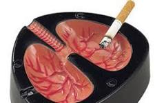 نقش دو ژن درافزایش احتمال سرطان ریه در افراد سیگاری 