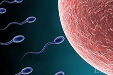  هیچ گونه ارتباطی بین تعداد کم اسپرم در مرد و نواقص تولد وجود  ندارد