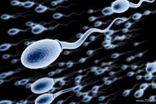 تلاش محققان ایرانی برای تولید اسپرم از سلول های پوستی