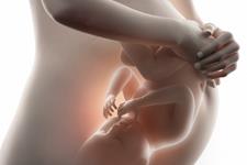 سیستم ایمنی جنینی، مادر را در زایمان های زودرس رد می کند