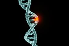 ناهنجاری ژنتیکی همراه با تولید سلول های بنیادی