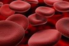 عفونت های دائمی موجب کاهش سلول های پیش ساز خونی می شود