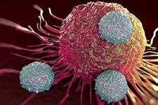 یافتن چگونگی پراکنش سلول های سرطانی در بدن بوسیله کشف سلول های هیبریدی سرطانی