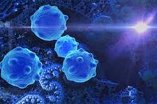 بلوک کردن دو آنزیم می تواند منجر به مردن سلول های سرطانی شود