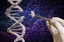 ابزارهای ویرایش ژنوم می توانند خطر سرطان را افزایش دهند