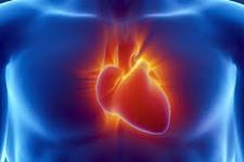 مطالعات مربوط به کلیه منجر به کشف جالبی در زمینه نحوه شکل گیری قلب شده است