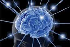مکانیسمی جدید که به موجب آن نورون های جدید موجب تقویت حافظه می شوند