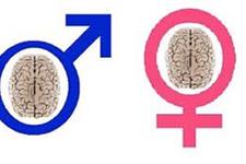 نقش تفاوت های وابسته به جنس در درمان و اثرگذاری سرطان 