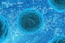 ورود محصولات جدید به بازار تحقیقات سلول های بنیادی