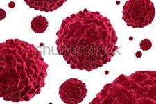 سلول های بنیادی درمانی برای تومورها