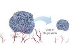 نقش میکروRNAها در تنظیم قدرت حرکتی سلول های توموری