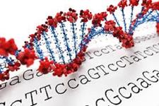 شناسایی ژن های حیاتی ایمنی سرطان با استفاده از تکنولوژی بارکد گذاری ژنتیکی