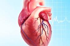 سلول های عضله قلبی انسان بدست آمده از سلول های بنیادی خود بیمار
