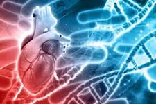 تشخیص بیماری های قلبی ژنتیکی با استفاده از کاردیومیوسیت های مشتق از سلول های بنیادی