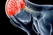 اثرات درمانی سلول های بنیادی مزانشیمی جفت انسان روی آسیب مغزی ناشی از تروما (TBI)