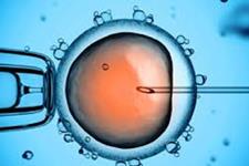 افزایش شانس IVF موفق با تعداد 18 تا 20 سلول تخم 