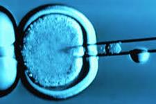 محققین کره ای یک گام دیگر به کلونینگ سلول های بنیادی جنینی نزدیک تر شده اند