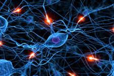 نوروژنز: کشف یک مکانیسم تنظیمی جدید